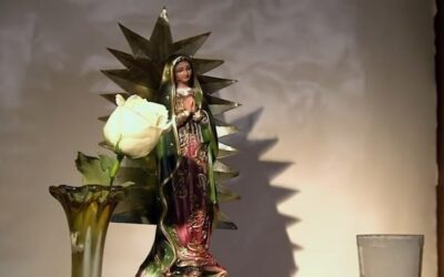 Frases de la Rosa de Guadalupe