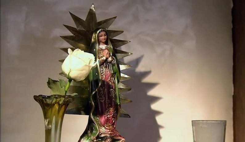 Frases de la Rosa de Guadalupe